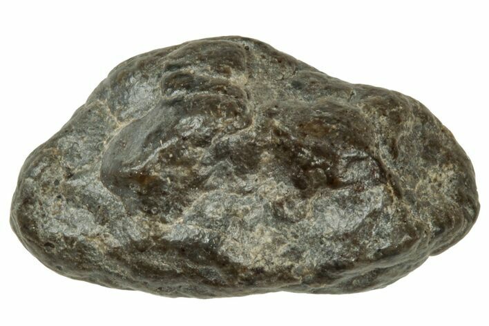 Lunar Meteorite ( g) - Laayoune #313132